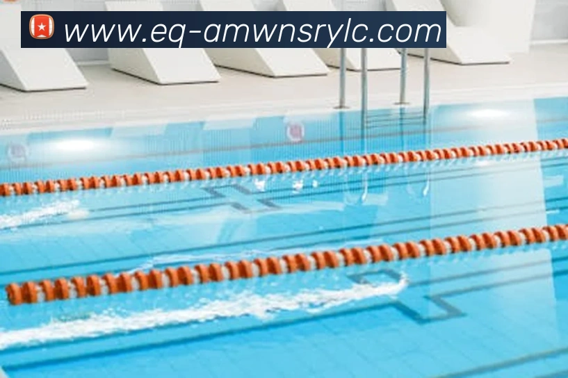 威尼斯人官网平台生态图