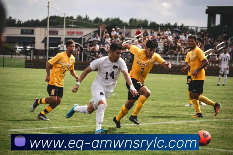 辅助工具 辅助工具